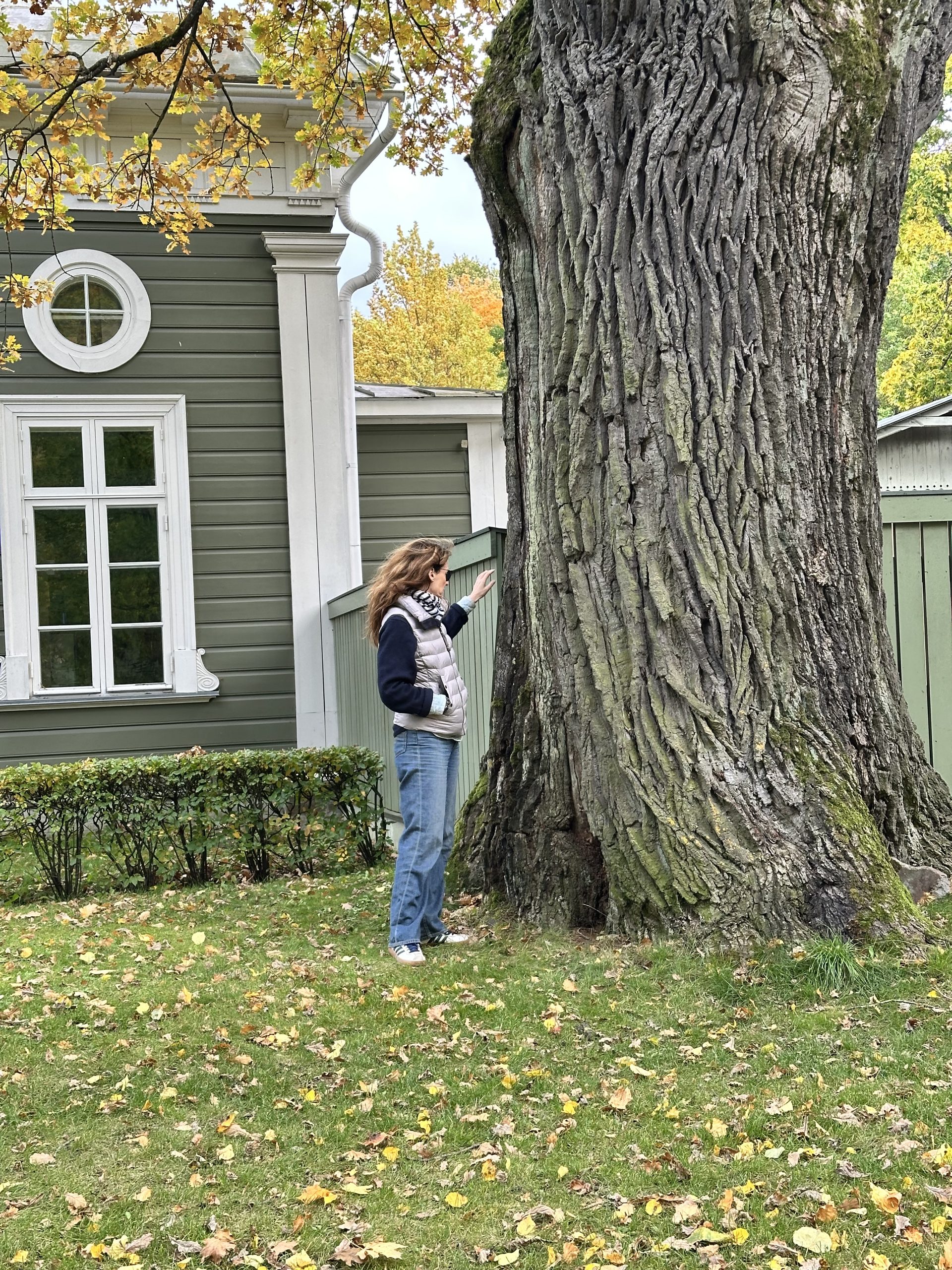 Me inspecting this big tree and thinking of dad / Moi qui inspecte le gros arbre et qui pense a papa ❤️